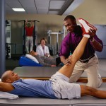 Physical Therapists