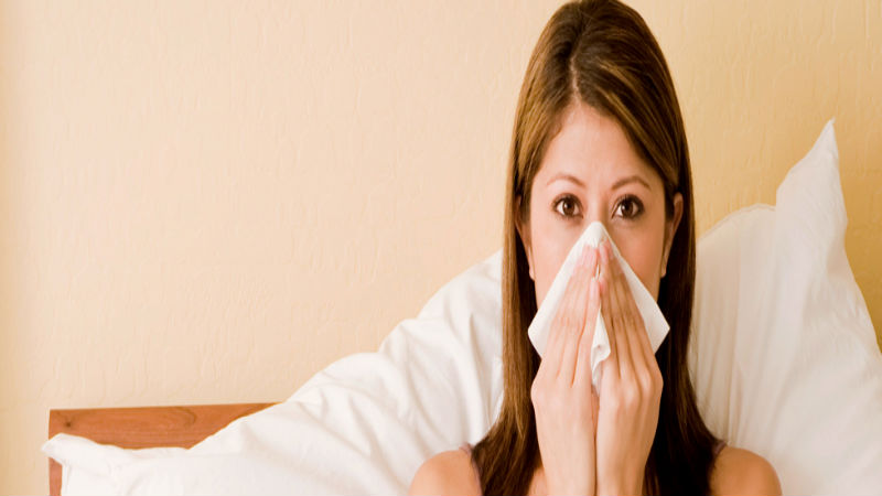 How To Tell The Difference Between A Common Cold And Hayfever In Louisville KY