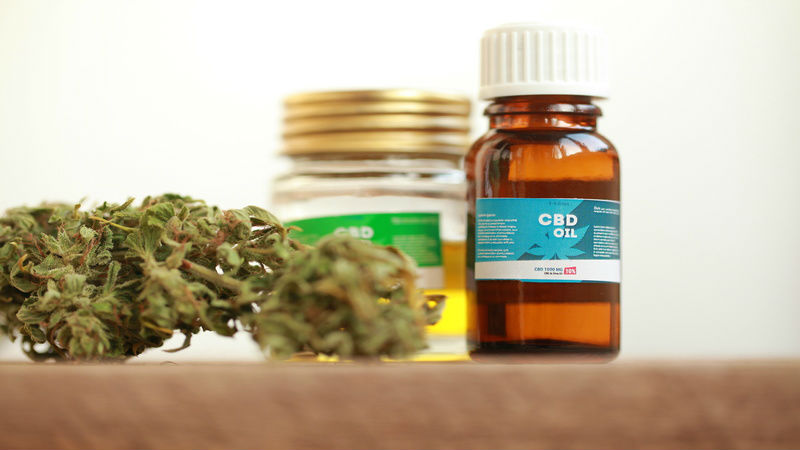 How to Buy CBD Oil for Pets